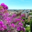 2 Pièces CAGNES-SUR-MER (06800)  48 m2 290 000 € 