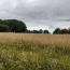 Terrain SAINT-PRIEST-SOUS-AIXE (87700)  6 611 m2 5 000 € 