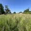 Terrain CHATEAU-THEBAUD (44690)   101 000 € 