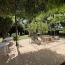 Maison COUHE (86700)  230 m2 249 950 € 