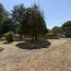 Maison VERTEUIL-SUR-CHARENTE (16510)  170 m2 210 000 € 