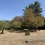 Maison VERTEUIL-SUR-CHARENTE (16510)  170 m2 210 000 € 