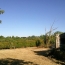 Maison VILLEFAGNAN (16240)  116 m2 123 650 € 