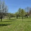 Terrain COLROY-LA-ROCHE (67420)  799 m2 45 000 € 