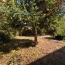 Maison SOISSONS (02200)  82 m2 192 000 € 