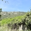 Villa BEAUMES-DE-VENISE (84190)  127 m2 325 000 € 