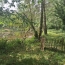 Terrain RILHAC-LASTOURS (87800)   28 000 € 