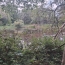 Terrain RILHAC-LASTOURS (87800)   28 000 € 