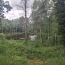 Terrain RILHAC-LASTOURS (87800)   28 000 € 