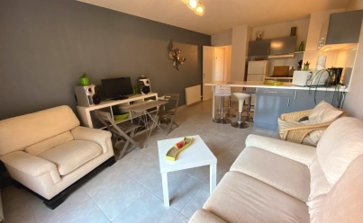 Appartement LE GRAU-DU-ROI (30240) 61 m2 230 560 € 