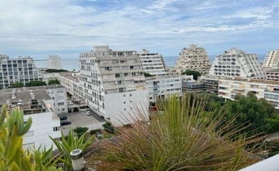 Appartement LA GRANDE-MOTTE (34280) 20 m2 250 € 
