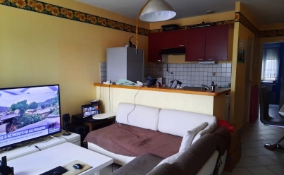 Appartement HAUTE-RIVOIRE (69610) 43 m2 300 € 