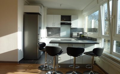 Appartement NANCY (54000) 12 m2 410 € 