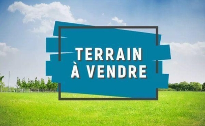Terrain SAINTE-FOY (85150) 0 m2 100 000 € 