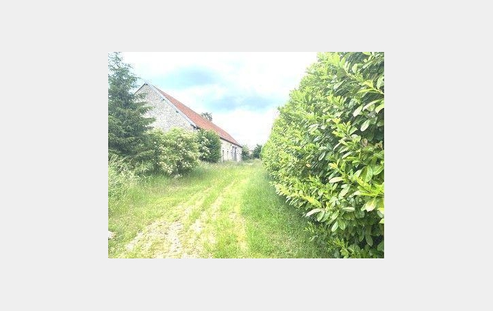 Maison LES ESSARTS-LE-VICOMTE (51310)  283 m2 299 250 € 