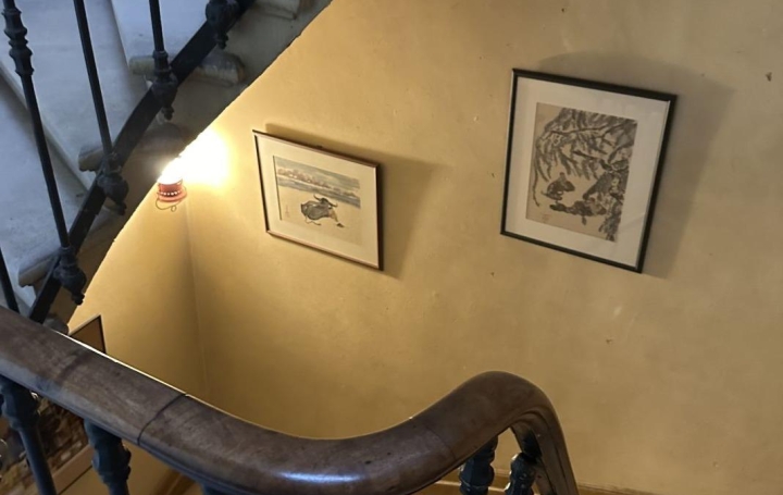 Maison BORDEAUX (33000)  250 m2 960 000 € 