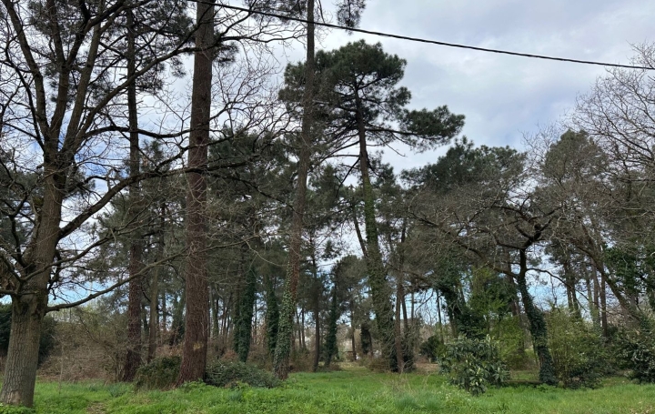 Maison PESSAC (33600)  124 m2 398 000 € 