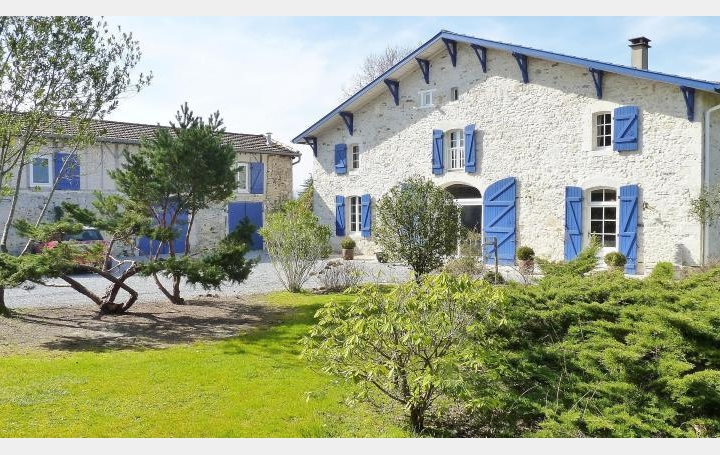 Réseau Immo-diffusion : Maison  PEYREHORADE  400 m2 738 000 € 