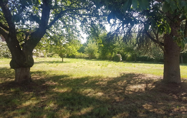 Réseau Immo-diffusion : Terrain  FURDENHEIM   168 000 € 