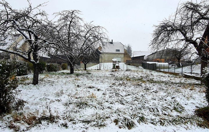 Réseau Immo-diffusion : Terrain  WICKERSHEIM-WILSHAUSEN   99 000 € 