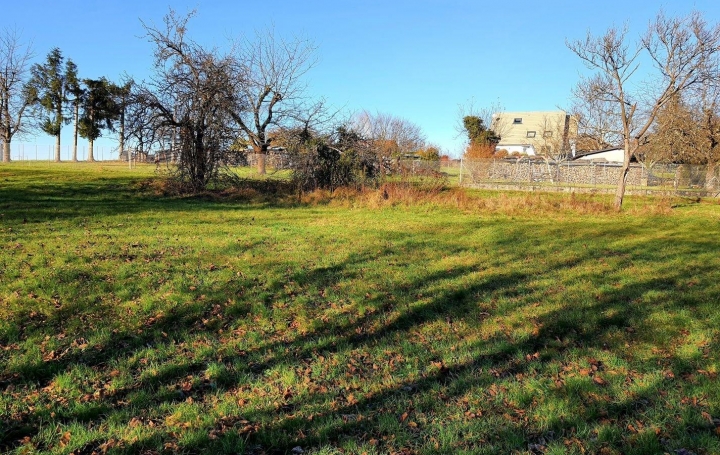 Réseau Immo-diffusion : Terrain  PHALSBOURG   79 000 € 