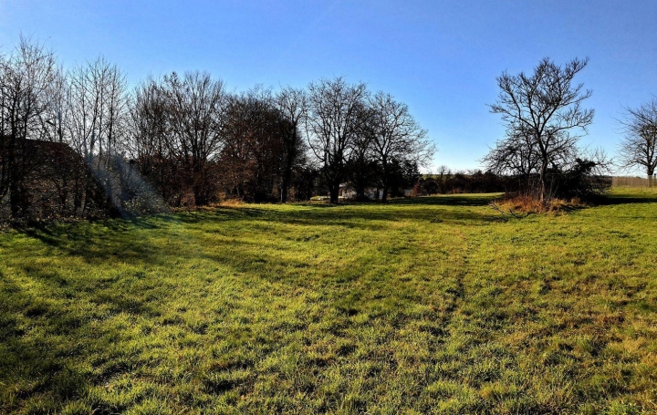 Réseau Immo-diffusion : Terrain  PHALSBOURG   69 000 € 