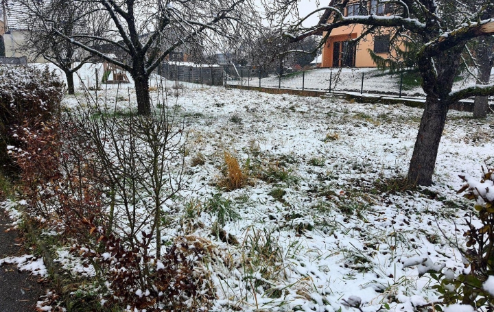 Réseau Immo-diffusion : Terrain  WICKERSHEIM-WILSHAUSEN   99 000 € 