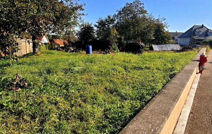 Réseau Immo-diffusion : Terrain  ALTECKENDORF   119 000 € 