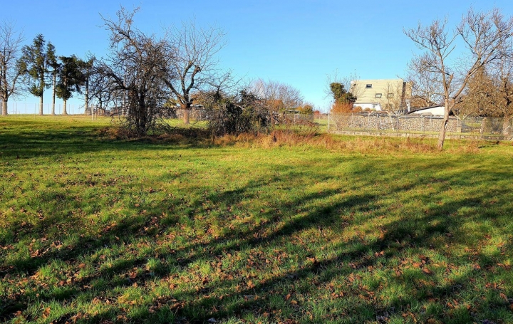 Réseau Immo-diffusion : Terrain  PHALSBOURG   69 000 € 
