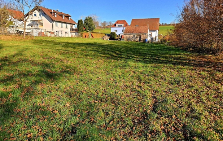 Réseau Immo-diffusion : Terrain  PHALSBOURG   69 000 € 
