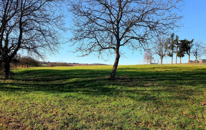 Réseau Immo-diffusion : Terrain  PHALSBOURG   69 000 € 