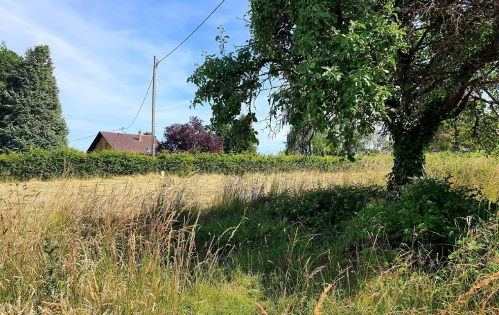 Réseau Immo-diffusion : Terrain  MARMOUTIER   178 000 € 