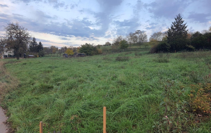 Réseau Immo-diffusion : Terrain  RANGEN   139 000 € 