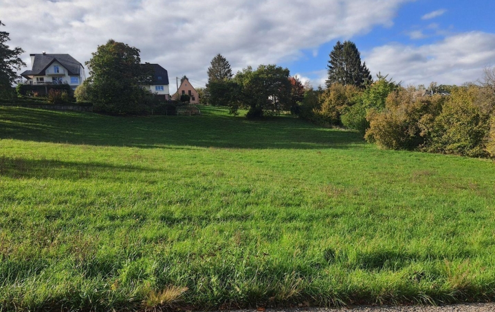 Réseau Immo-diffusion : Terrain  SAVERNE   159 000 € 
