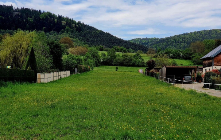 Réseau Immo-diffusion : Terrain  MARMOUTIER   98 000 € 
