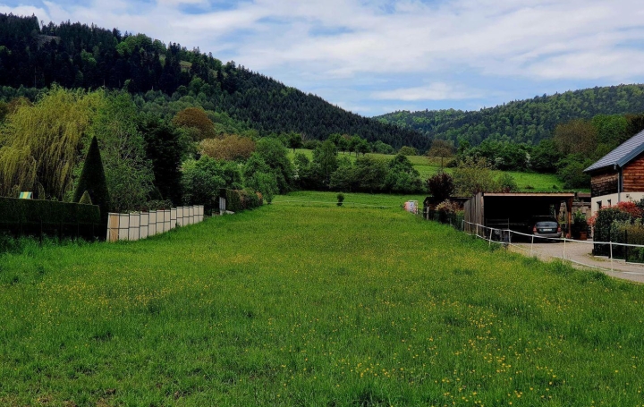 Réseau Immo-diffusion : Terrain  MARMOUTIER   169 000 € 