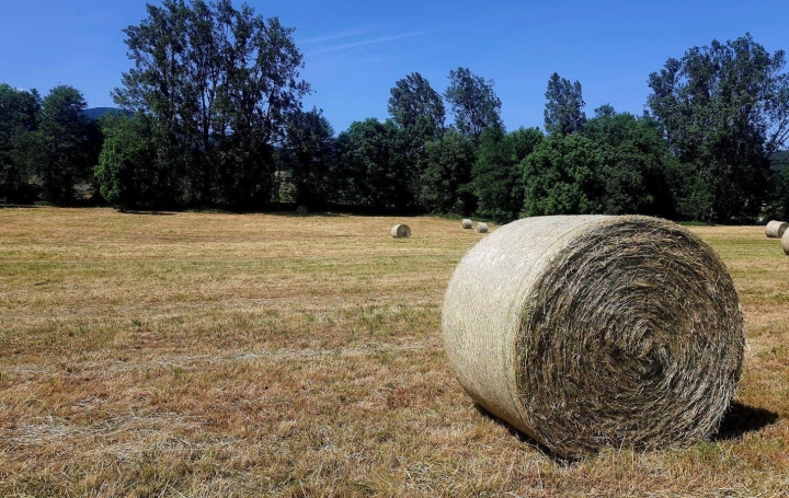 Réseau Immo-diffusion : Terrain  HENGWILLER   68 370 € 