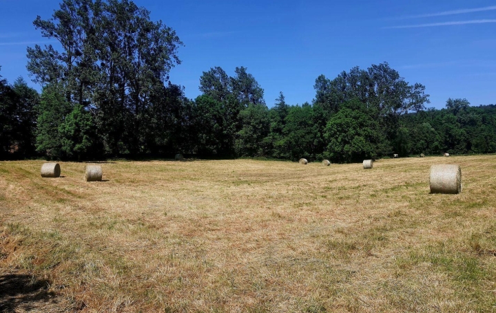 Réseau Immo-diffusion : Terrain  HENGWILLER   67 970 € 