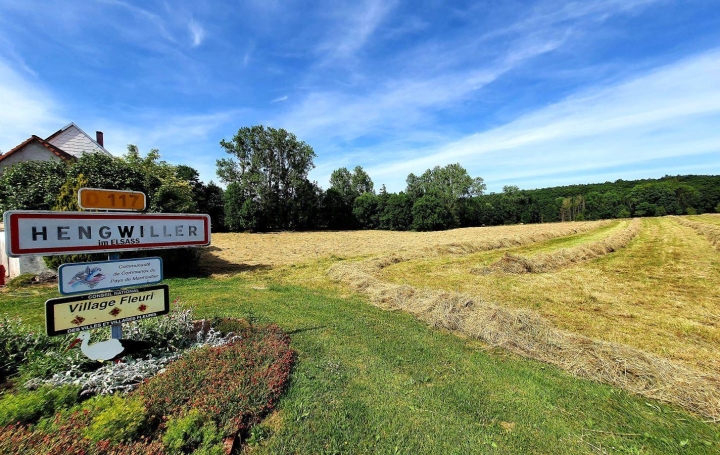 Réseau Immo-diffusion : Terrain  HENGWILLER   68 370 € 