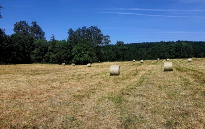 Réseau Immo-diffusion : Terrain  HENGWILLER   68 500 € 