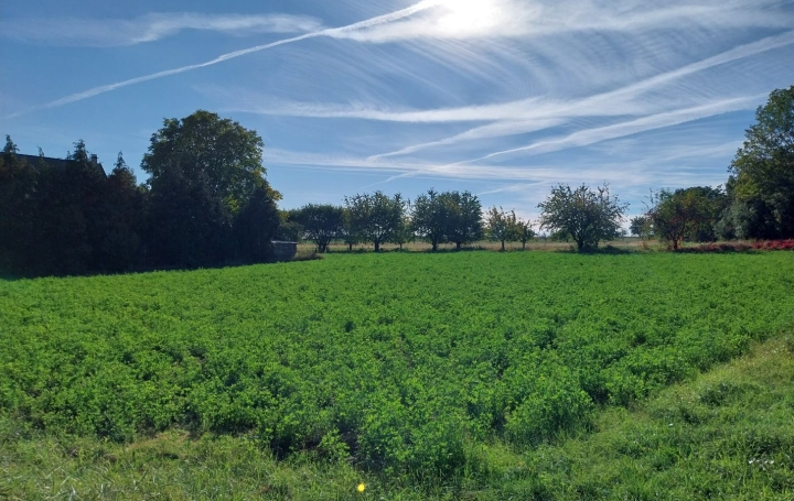 Réseau Immo-diffusion : Terrain  HANDSCHUHEIM   318 680 € 