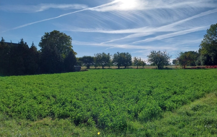 Réseau Immo-diffusion : Terrain  HANDSCHUHEIM   244 520 € 