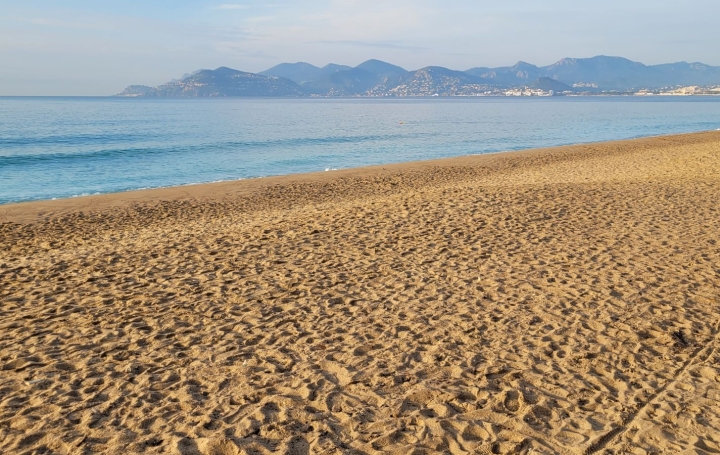 3 Pièces CANNES (06400)  83 m2 530 000 € 