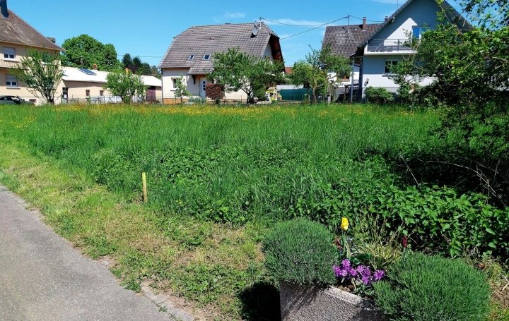 Terrain BERNOLSHEIM (67170)   78 150 € 