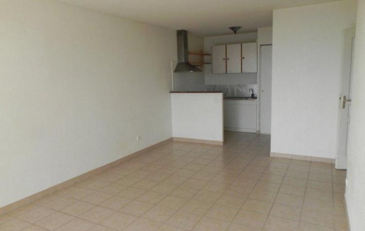 Réseau Immo-diffusion : Appartement P2  ANTIBES  45 m2 230 000 € 