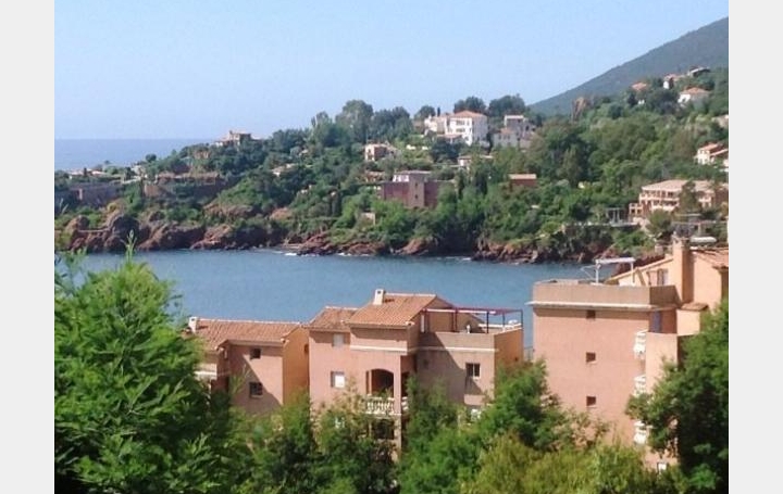 Réseau Immo-diffusion : Maison  THEOULE-SUR-MER  90 m2 480 000 € 