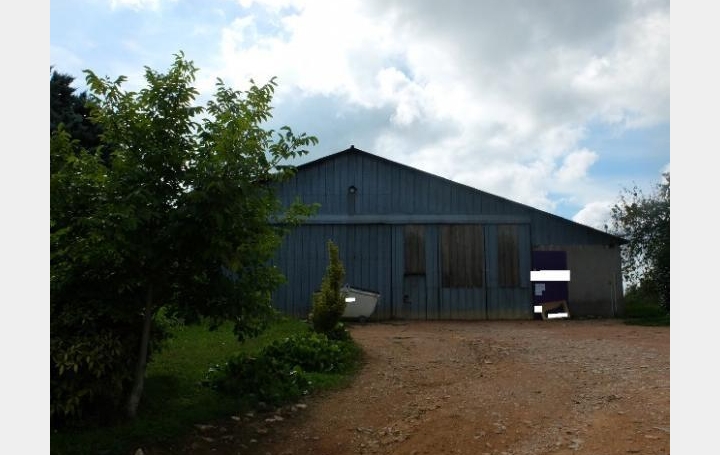 Réseau Immo-diffusion : Local commercial  SENOZAN  833 m2 1 333 € 