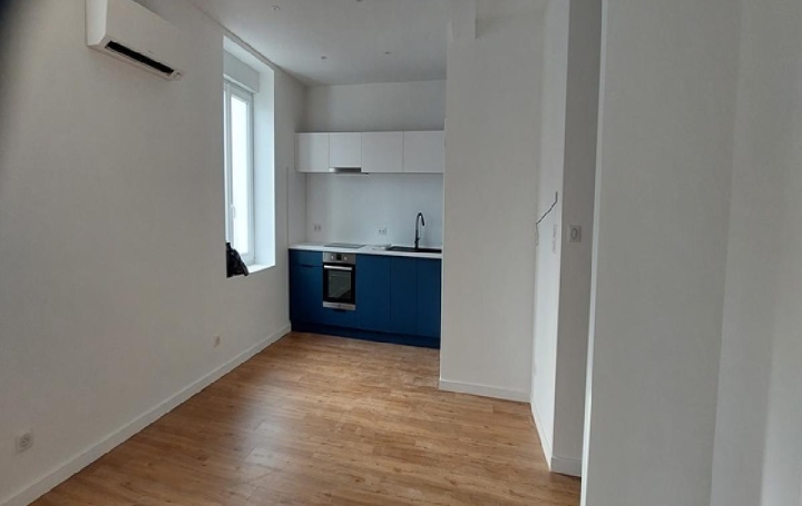 Réseau Immo-diffusion : Appartement P3  SAINT-LAURENT-SUR-SAONE  53 m2 600 € 