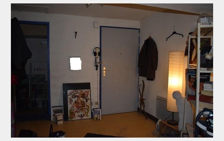 Réseau Immo-diffusion : Appartement P2  SAINT-LAURENT-SUR-SAONE  45 m2 53 000 € 