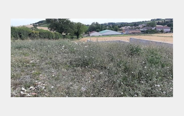 Réseau Immo-diffusion : Terrain  HURIGNY   61 800 € 